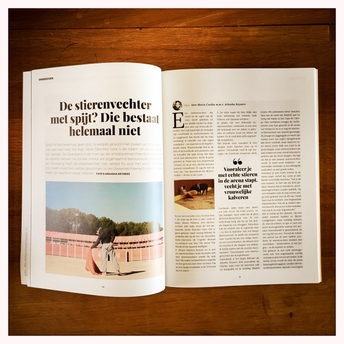 StierenvechterBookzine